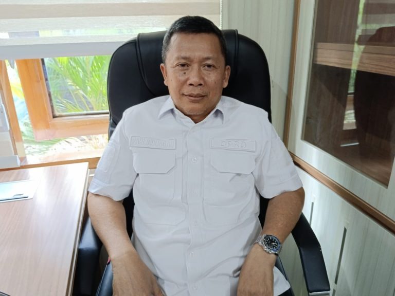 Parlindungan Soroti  Wacana Penghapusan Tenaga Honorer