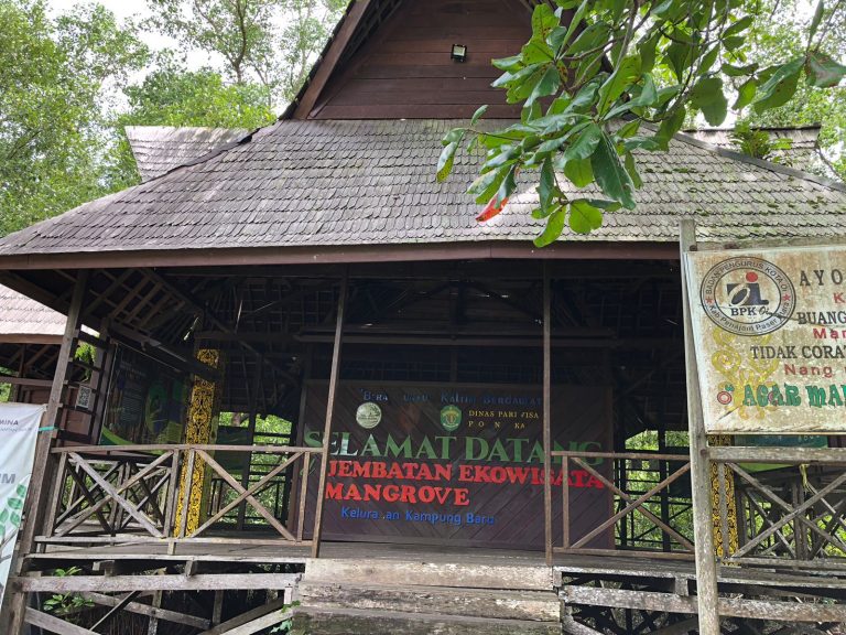 Semakin Rusak Parah, Pengelola Minta Jembatan Ekowisata Mangrove Penajam Segera Dibenahi