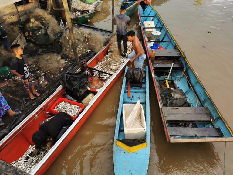 Penghasilan Perikanan PPU Capai 14 Ribu, 30 Persen Disuplai Babulu Laut