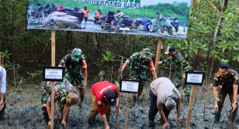 Lima Ratus Bibit Bakau Ditanam di PPU dalam Aksi Penanaman Mangrove Nasional 2023