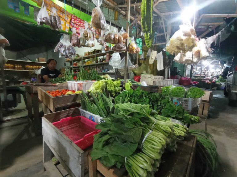 Pasca Lebaran, Harga Sayuran di PPU Masih Tinggi
