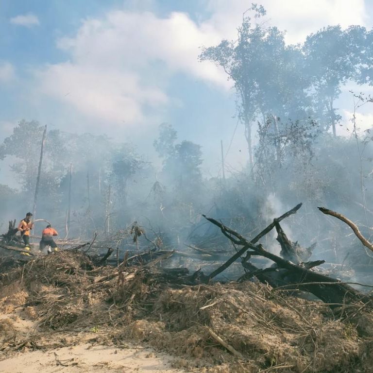 Gagal Meluas, Karhutla di Lawe-Lawe Berhasil Dicegah