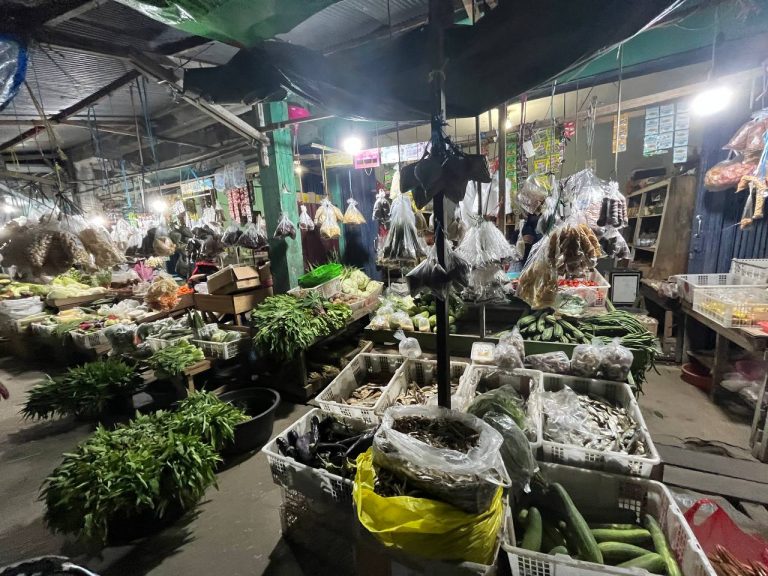 Jumlah Sayuran di PPU Melimpah, Harga dan Pembeli Turun