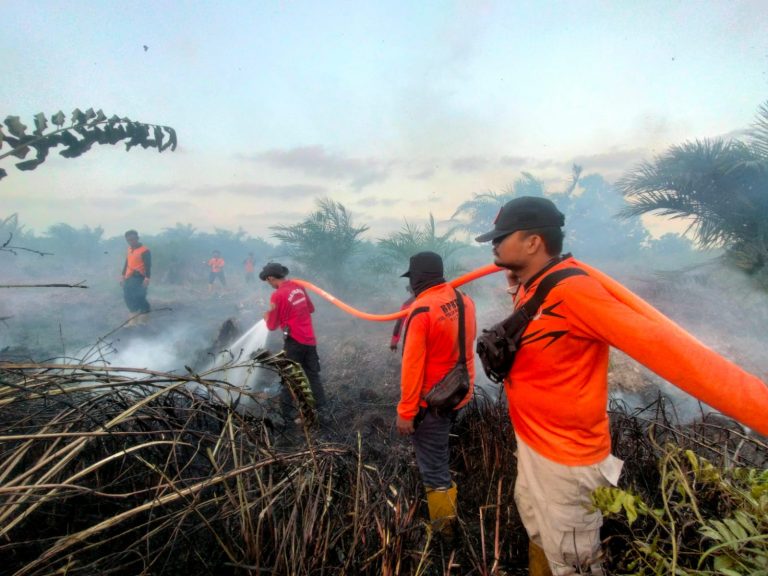 Cegah Karhutla, Warga PPU Diminta Hindari Pembukaan Lahan dengan Dibakar