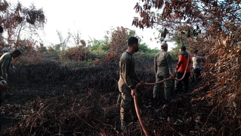 RT 16 Karhutla Lagi, Lurah Petung Imbau Warga Cegah Karhutla