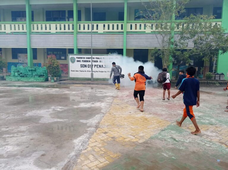 Tekan Kasus DBD, Diskes PPU Galakkan Penyemprotan dan Pemberian Abate