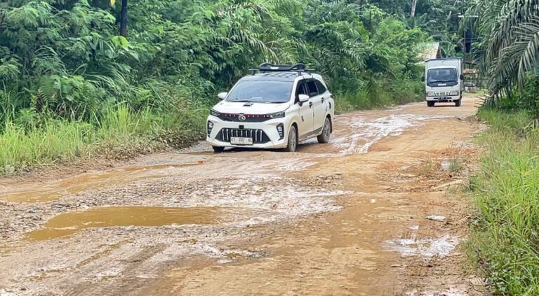 Basuki Instruksikan Penanganan Jalan Rusak di Wilayah IKN