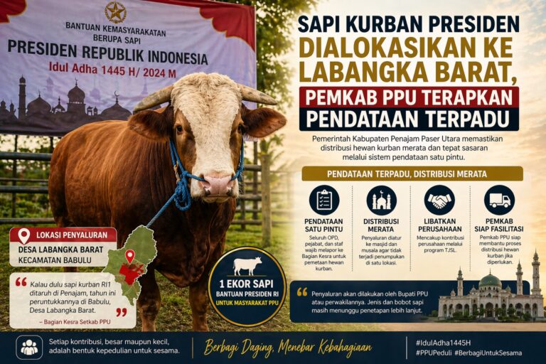Sapi Kurban Presiden Dialokasikan ke Labangka Barat, Pemkab PPU Terapkan Pendataan Terpadu
