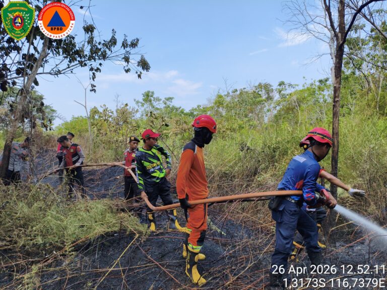 Karhutla 0,25 Hektare di Penajam Berhasil Dipadamkan, Tim Gabungan Bergerak Cepat