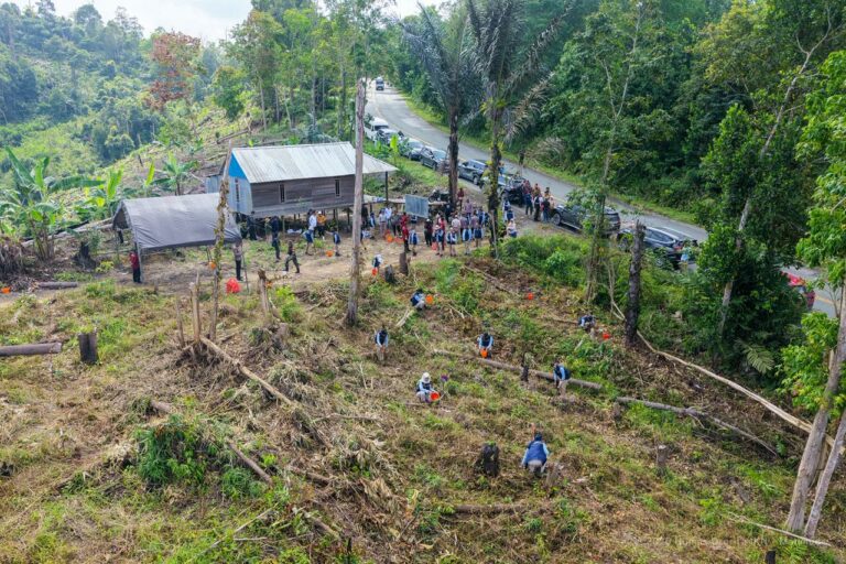 Pulihkan Hutan Terdampak Ilegal, Otorita IKN Tanam 100 Pohon di Tahura Soeharto