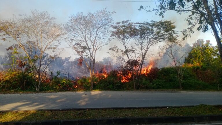 Kebakaran Lahan di Bonles Picu Kekhawatiran Api Meluas