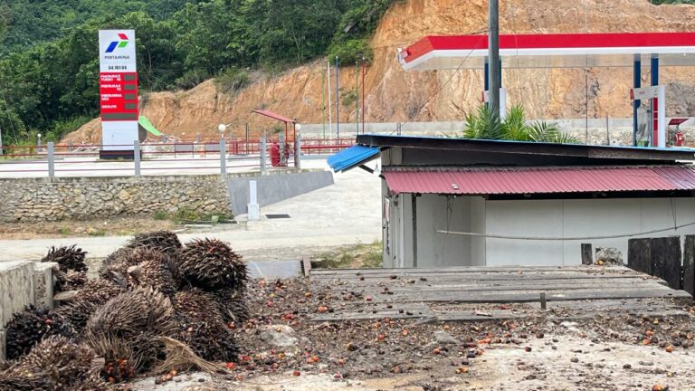Wacana Ekspor Tunggal Sawit Dinilai Picu Kepanikan Pasar