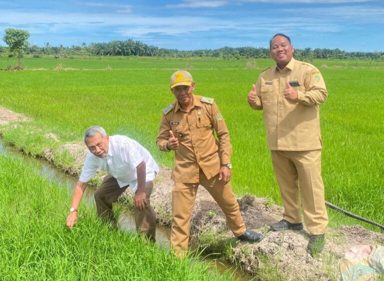 Padi Gamagora 7 Mulai Diuji di PPU, Digadang Jadi Solusi Pertanian Lahan Tadah Hujan