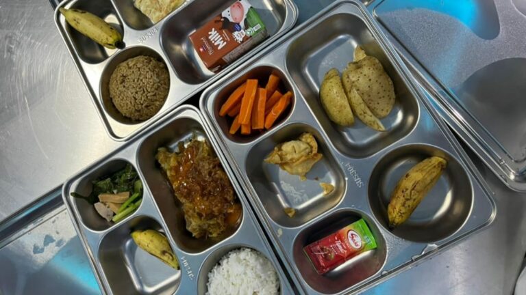 Putusan Sekolah Gratis Dinilai Belum Jalan karena Beban Anggaran MBG