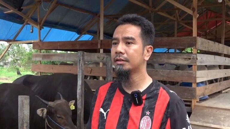 Sapi Kurban Bobot 1 Ton Terjual Rp100 Juta di Balikpapan