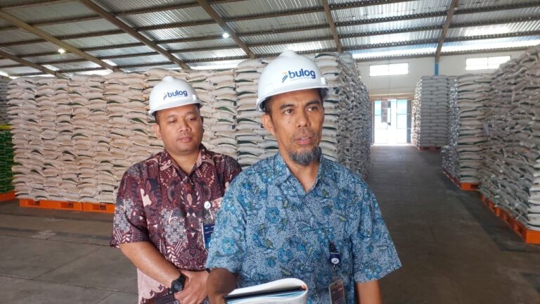 BULOG Dekati Target Nasional 4 Juta Ton Pengadaan Beras 2026