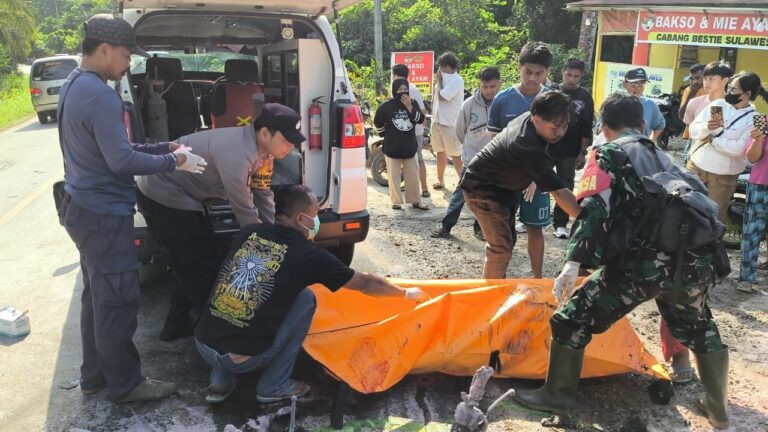 Benturan Keras Picu Kebakaran, Dua Kendaraan Hangus di Tempat