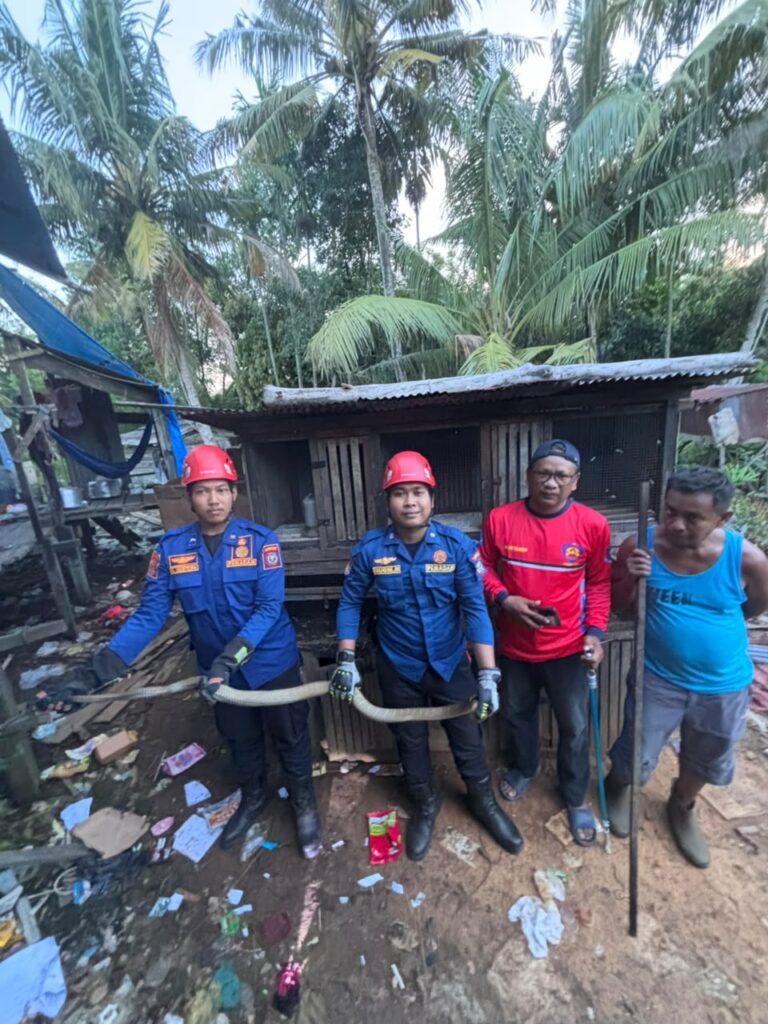 Satwa Berbahaya di Permukiman Harus Segera Dilaporkan