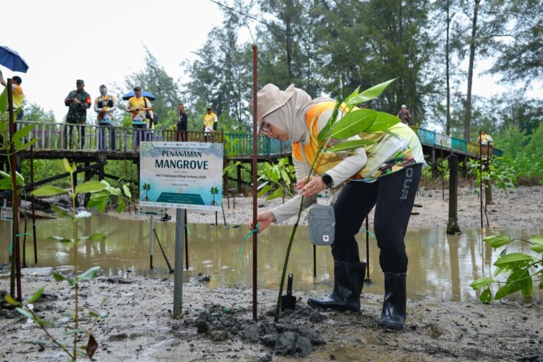 Otorita IKN Tanam 350 Mangrove di Pantai Tanah Merah, Perkuat Perlindungan Pesisir Nusantara
