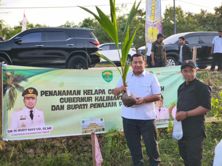 Gubernur Kaltim dan Bupati PPU Tanam Perdana 200 Bibit Kelapa Genjah di Nenang