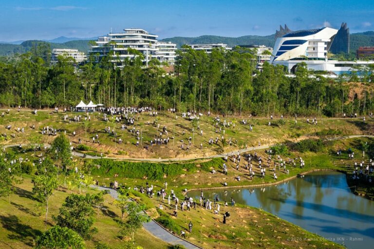 Ribuan Peserta Ikut Tanam 1.200 Pohon di KIPP IKN, Luas Rehabilitasi Capai 8.947 Hektare