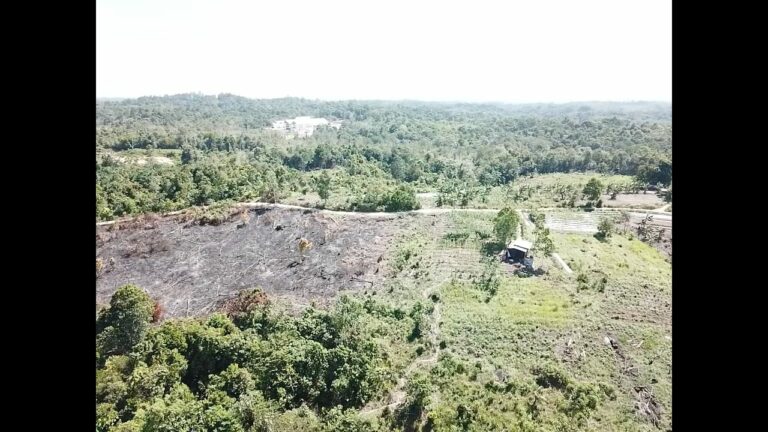 Pemeriksaan Hotspot di Penajam Ungkap Aktivitas Pembukaan Lahan dengan Cara Dibakar Seluas 0,5 Hektare